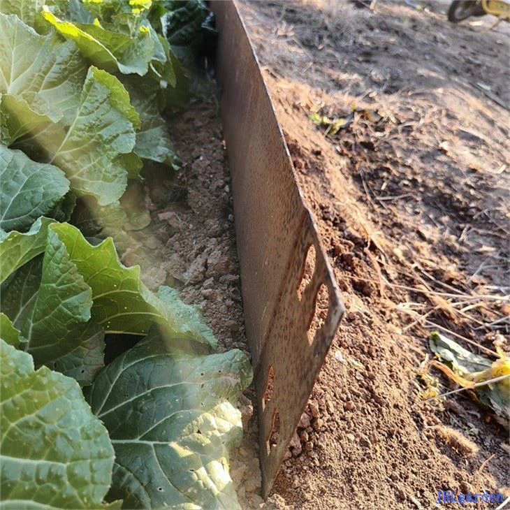 Steel Lawn Edging (4)