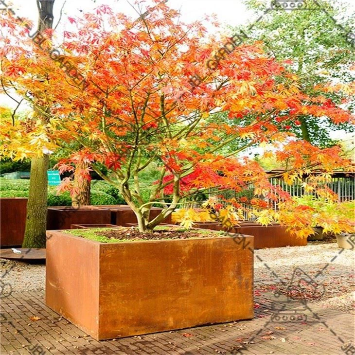 Set Of Two Planters
