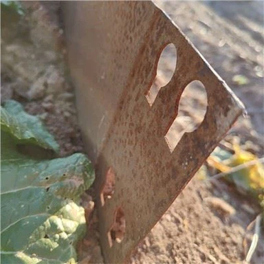 Landscape Steel Edging
