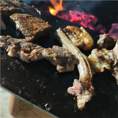 Outdoor Cooking Wood Burning Grill