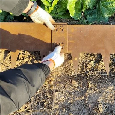Permanent Steel Lawn Edging
