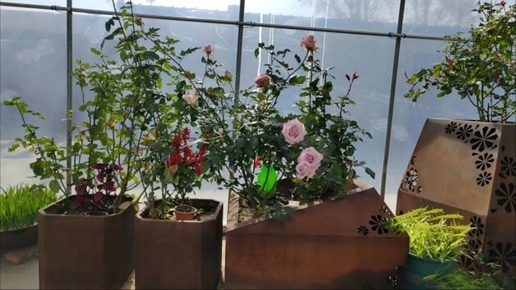 Eco-Friendly & Sustainable Corten Steel Planter Boxes price
