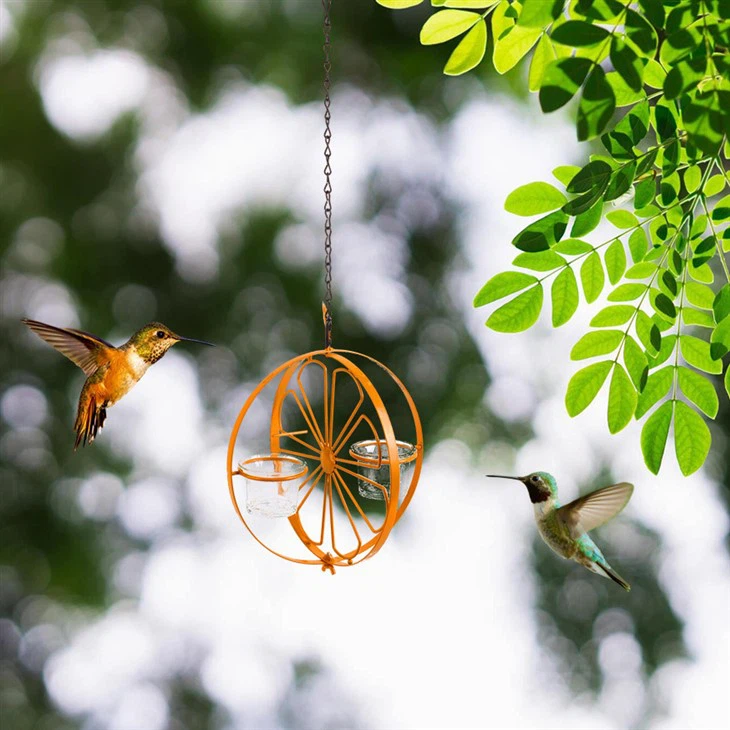 Functional Hummingbird Bird Feeder