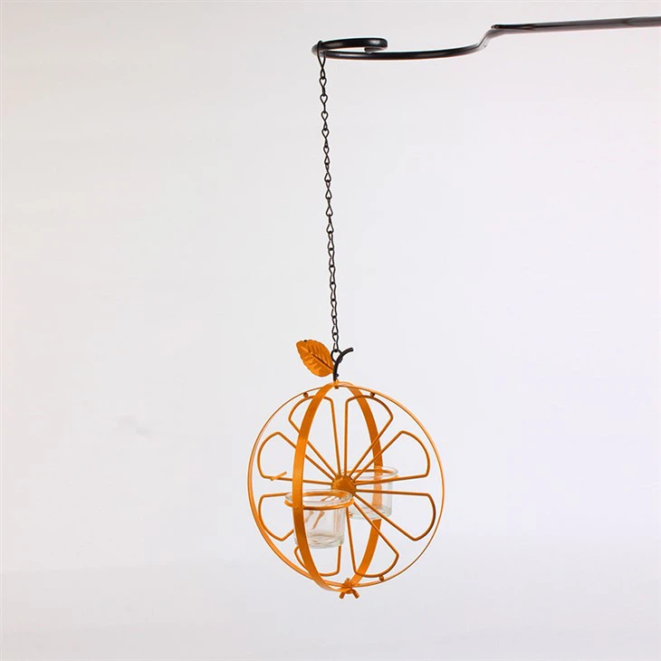 Functional Hummingbird Orioles Bird Feeder
