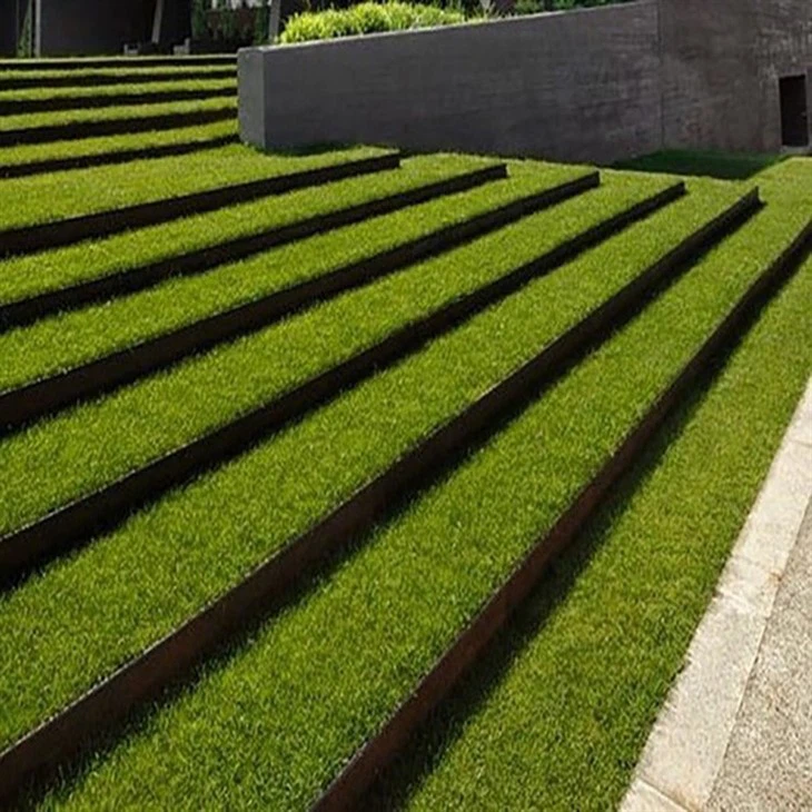 Lawn Garden Edging Landscape