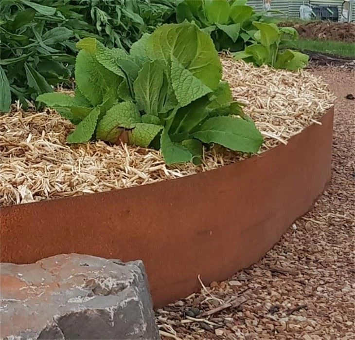 Multiple Corten Steel Tree Rings price