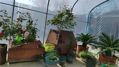 Eco-Friendly Corten Steel Planter Boxes