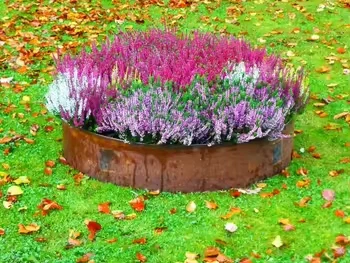 Edge Landscape Edging