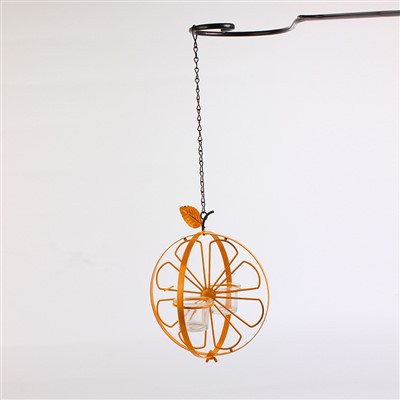 Functional Hummingbird Orioles Bird Feeder