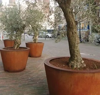 The Design And Appearance Of The Flowerpot