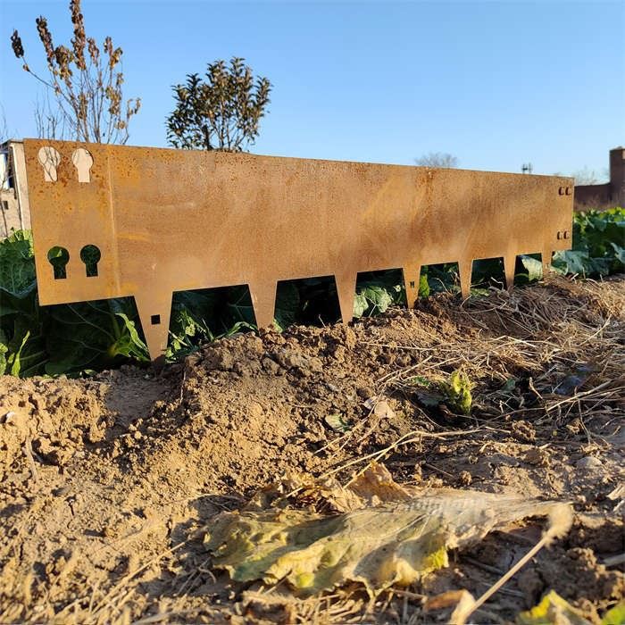 Steel Garden Edging Belt best