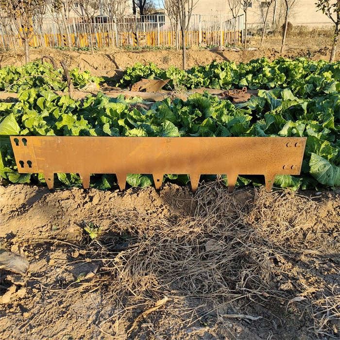 Steel Garden Edging Belt factory